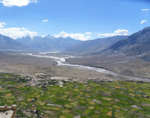 zanskar-vallee-champs-stongde