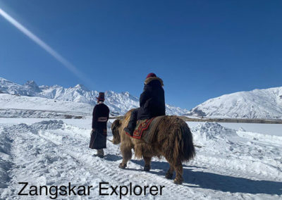 ladakh-festival-2021-zanskar-association-aaz-14