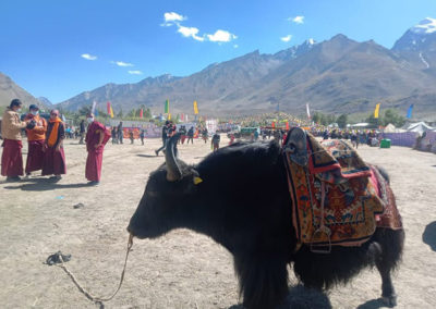 ladakh-festival-2021-zanskar-association-aaz-19