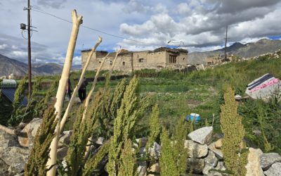 Visite à Ubarak et Rangzam – Eté 2026