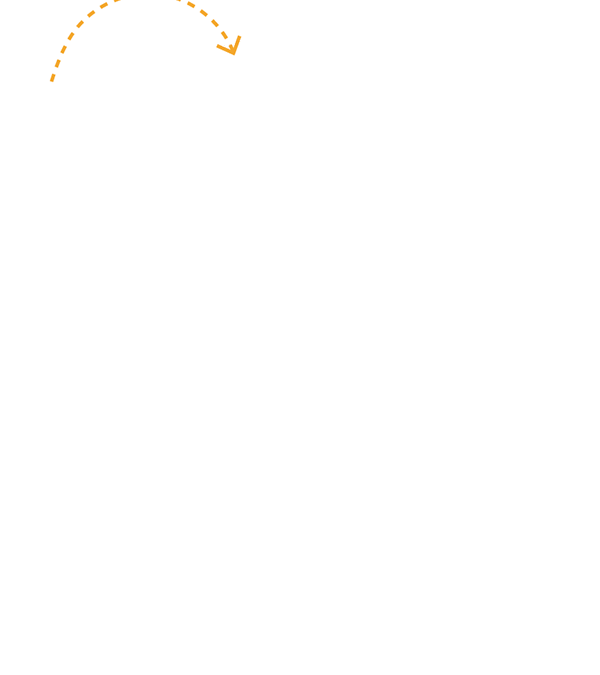 carte-filaire-inde