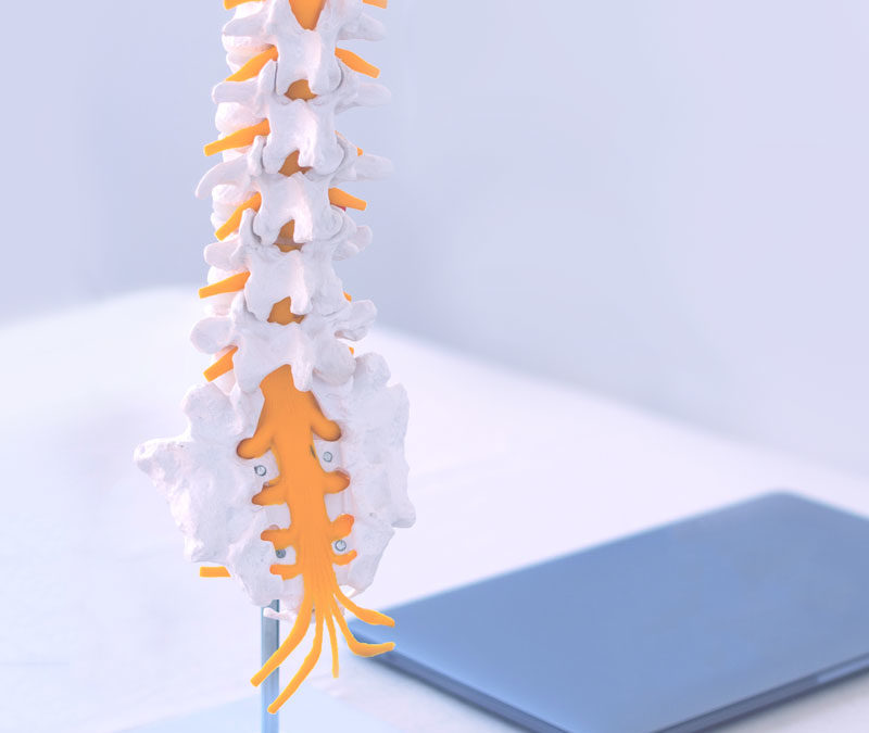 chiropractor-04